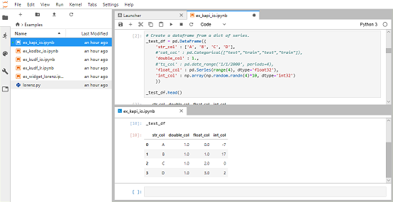 ../_images/jupyter_example_console.png