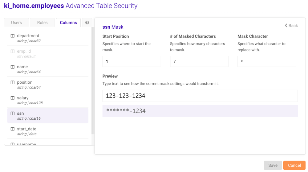 ../../images/data_table_security_colmask_example.png