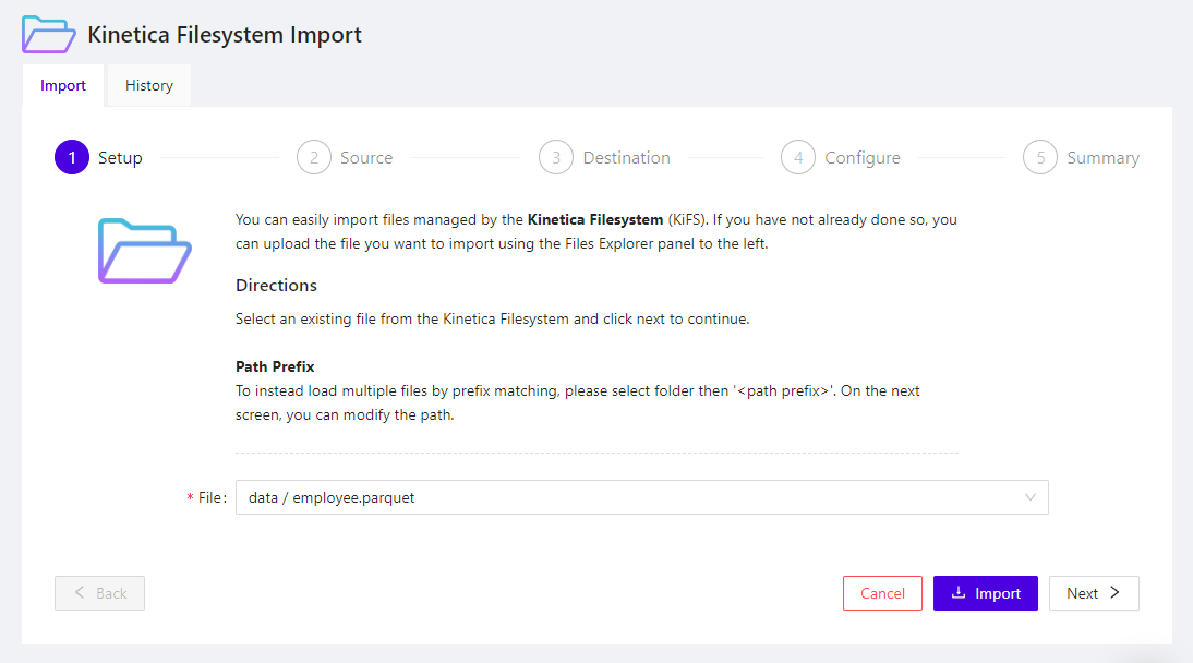 ../images/wb.explorer_files_import_setup.png